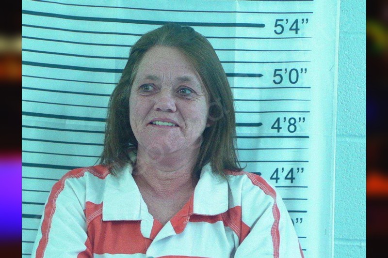 Melinda Mccroskey Stephens County Jail Bookings