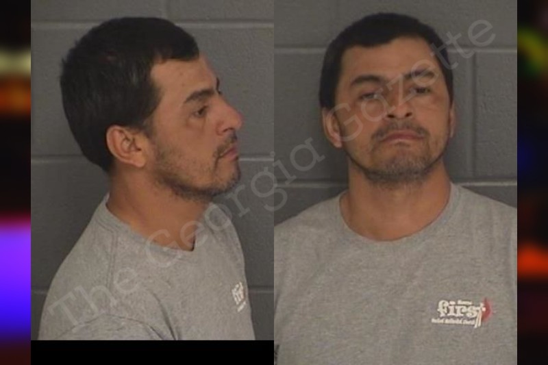 Milton Rojas Barrow County Jail Bookings