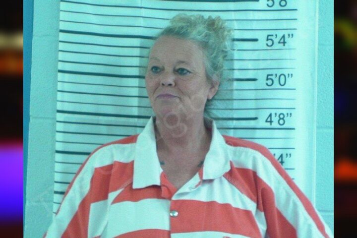 Tracy West Stephens County Jail Bookings