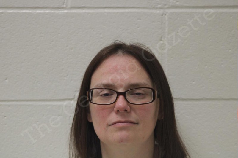 Lisa Barnes Jones County Jail Bookings