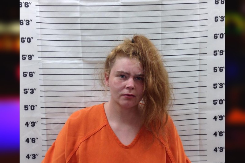 Bridgette Edwards Pickens County Jail Bookings