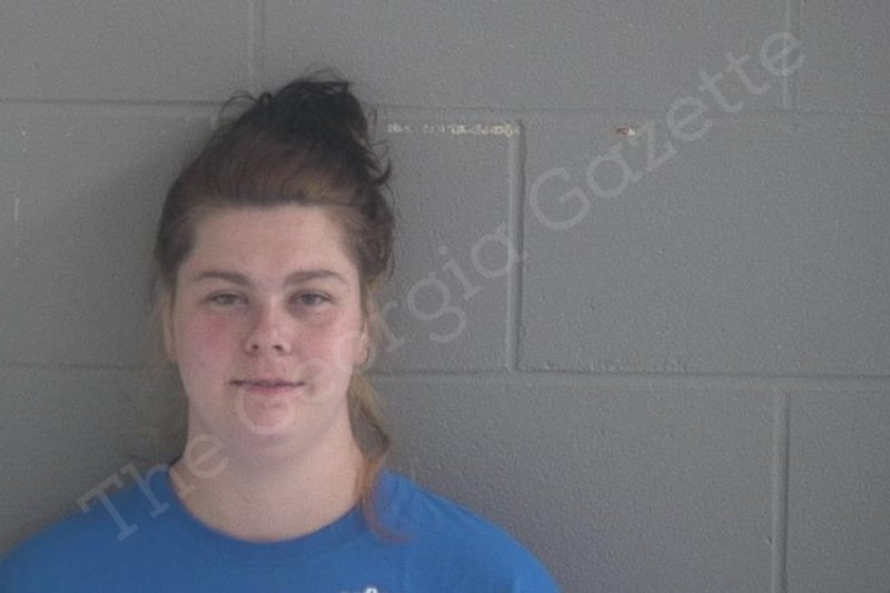 Pamela Dorwarth Brantley County Jail Bookings