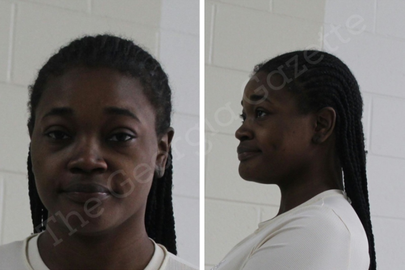 Ashanti Duncan Houston County Jail Bookings