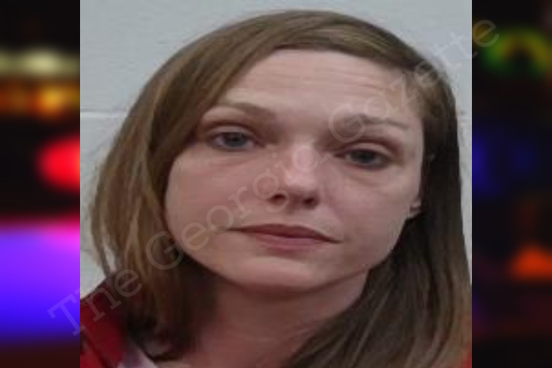 Amanda Heirs Screven County Jail Bookings