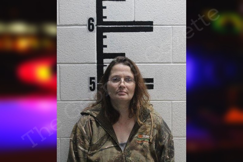 Erica Hambree Murray County Jail Bookings