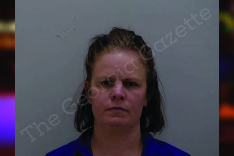 Abigail Harrison Bartow County Jail Bookings