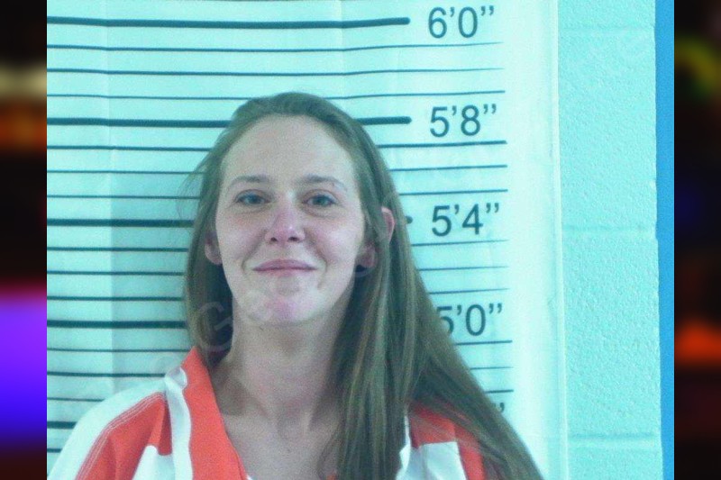 Abby Jordan Stephens County Jail Bookings