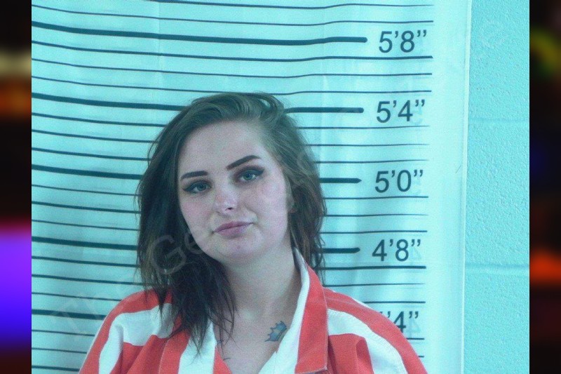 Dixie Singh Stephens County Jail Bookings