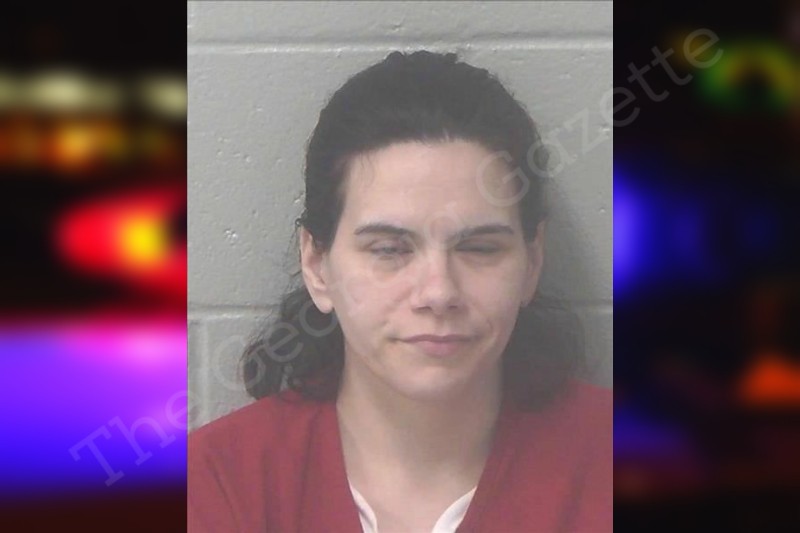 Megan Stapp Newton County Jail Bookings