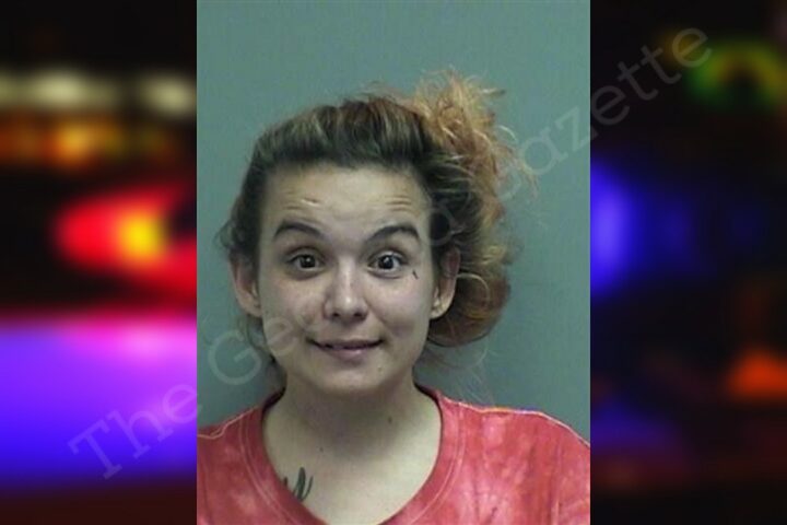 Shelby Strickland Effingham County Jail Bookings