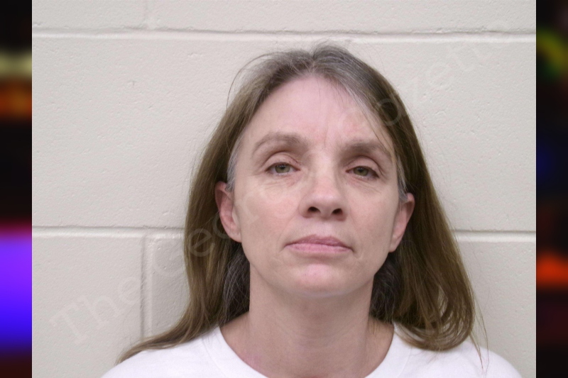 Amanda Sweat Bulloch County Jail Bookings