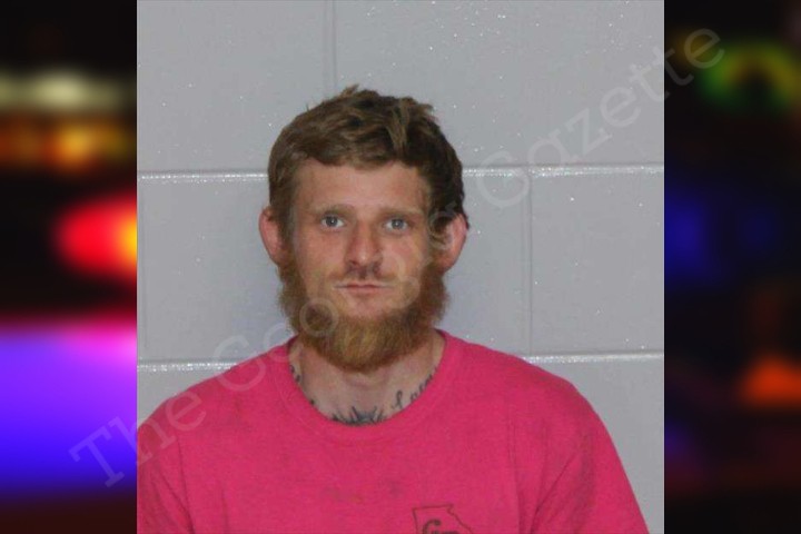 Dylan Bell Morgan County Jail Bookings