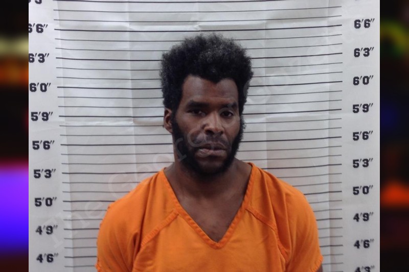 Hadi Hamid Pickens County Jail Bookings