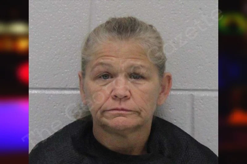 Regina Moman Carroll County Jail Bookings