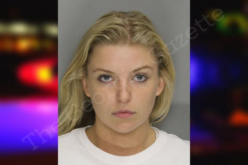 Sydney Railey Cobb County Jail Bookings