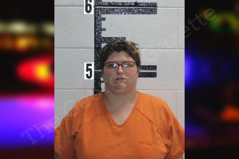 Hollie Bryant Murray County Jail Bookings