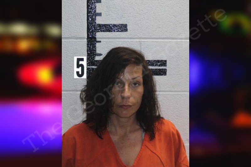 Priscilla Ridgeley Murray County Jail Bookings