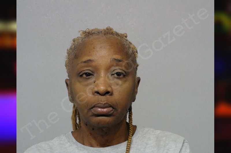 Winifred Mays Bibb County Jail Bookings