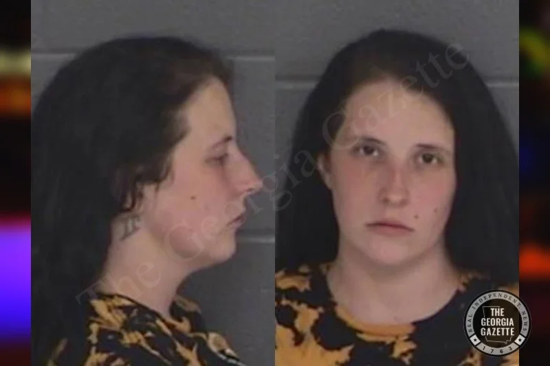 Jaclyn Russell Barrow County Jail Bookings