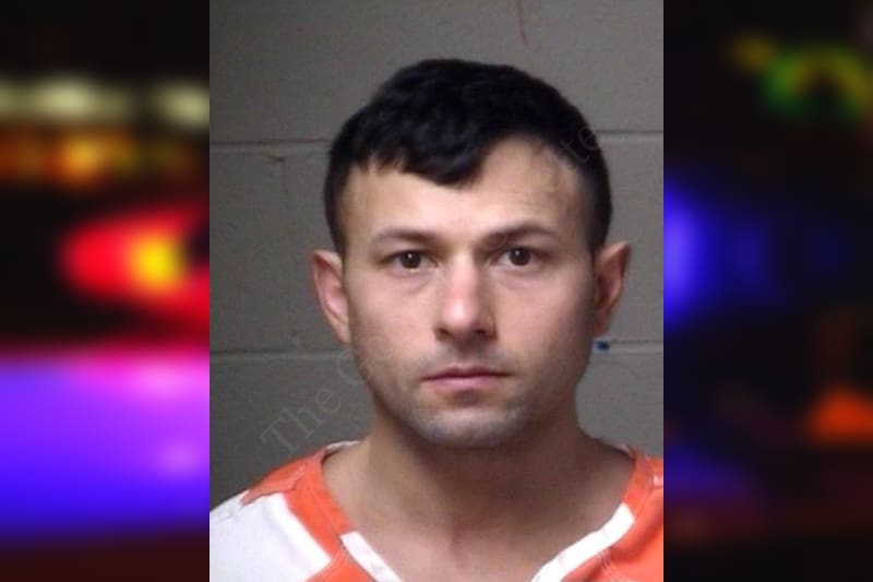 Dimitrios Alexiou — Paulding County Jail Bookings