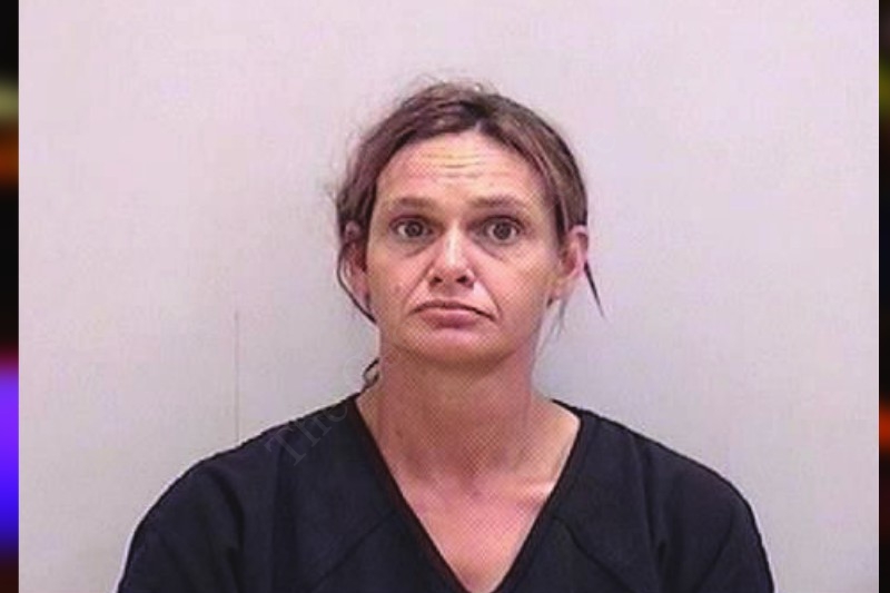 Amanda Lee Bartow County