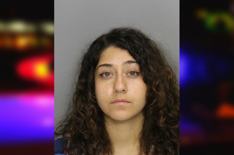 Ashley Zavala — Cobb County Jail Bookings