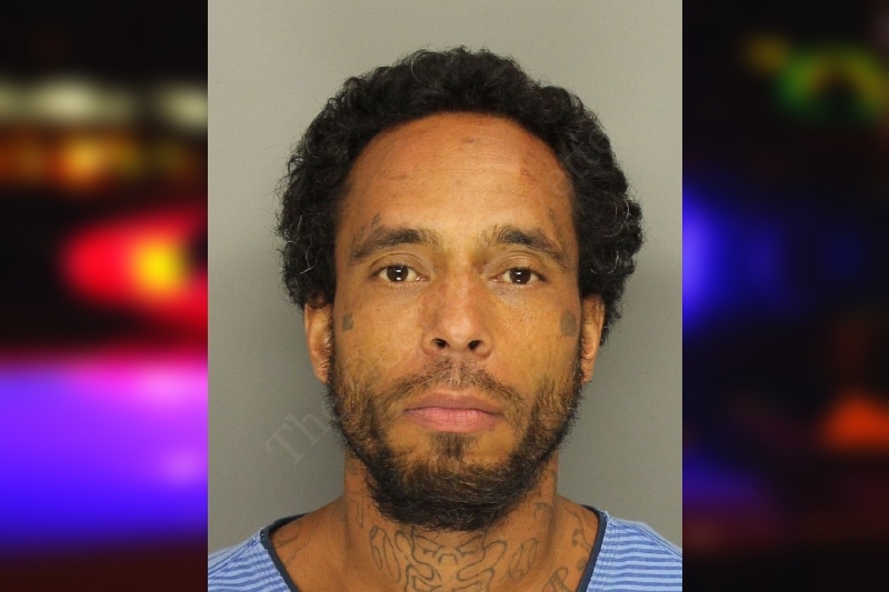 Sheldon Anderson Cobb County