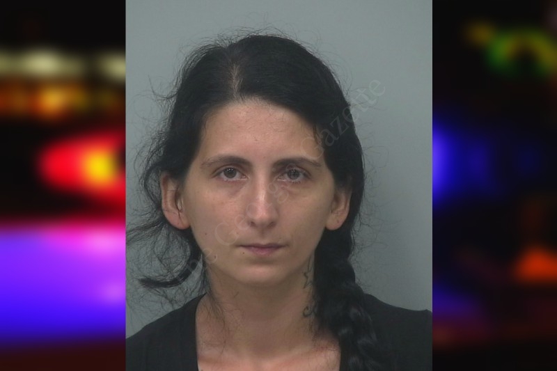 Alma Almanovic County Jail Bookings