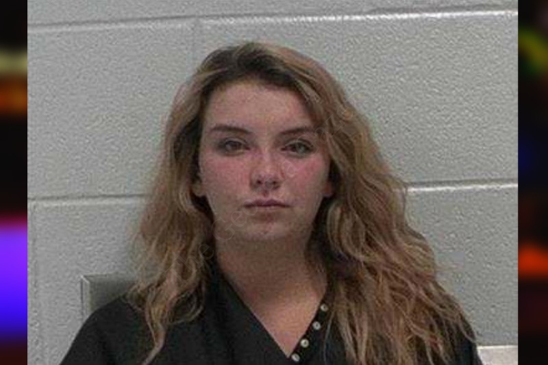 Cheyenne Summerville Carroll County Jail Bookings