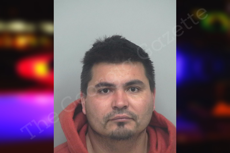 Roberto Garcia Rizo — Gwinnett County Jail Bookings