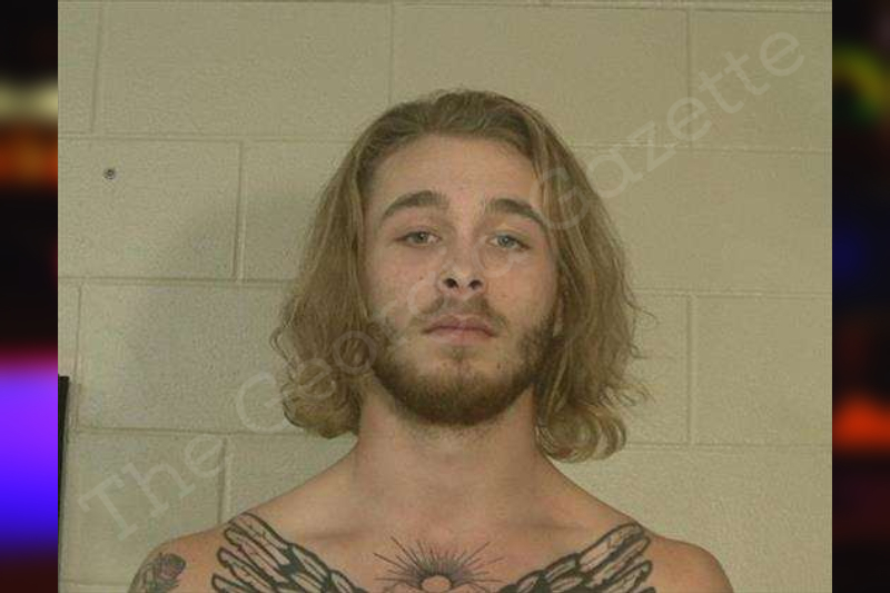 Ashton James Liberty County