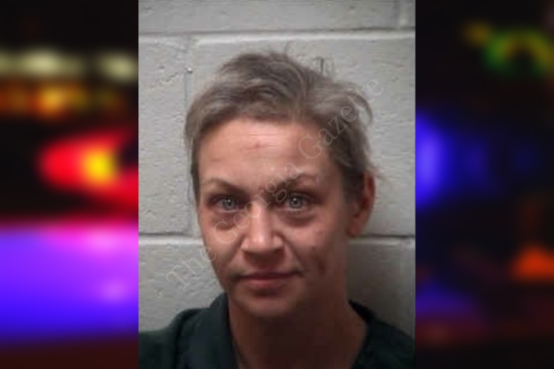 Shelly Laughlin — Henry County Jail Bookings