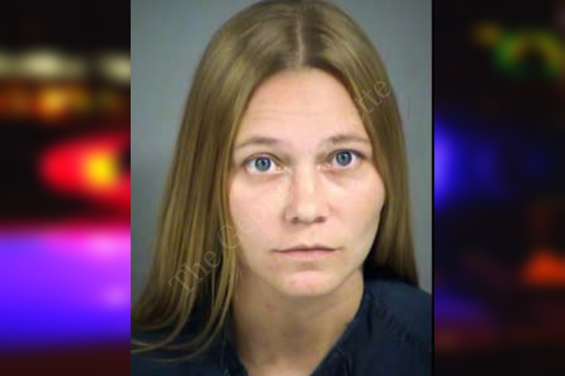 Brittany Kearney Lowndes County Jail Bookings