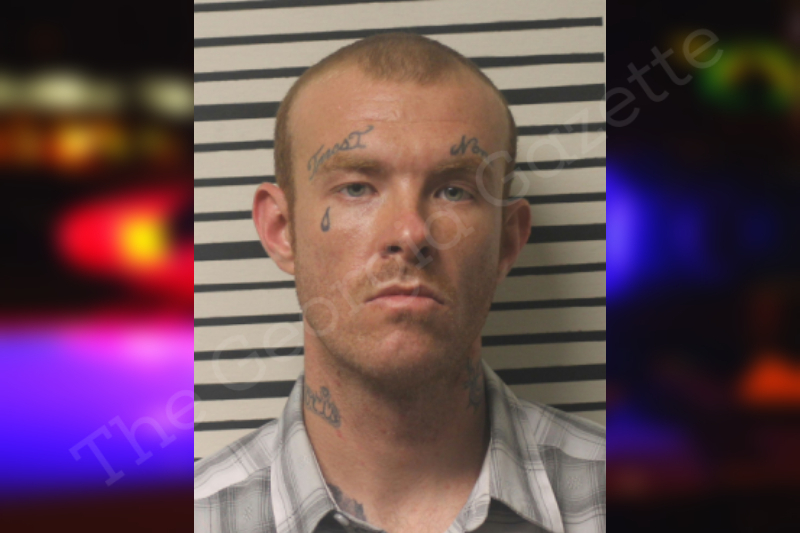 Dillon Phillips Toombs County Jail Bookings