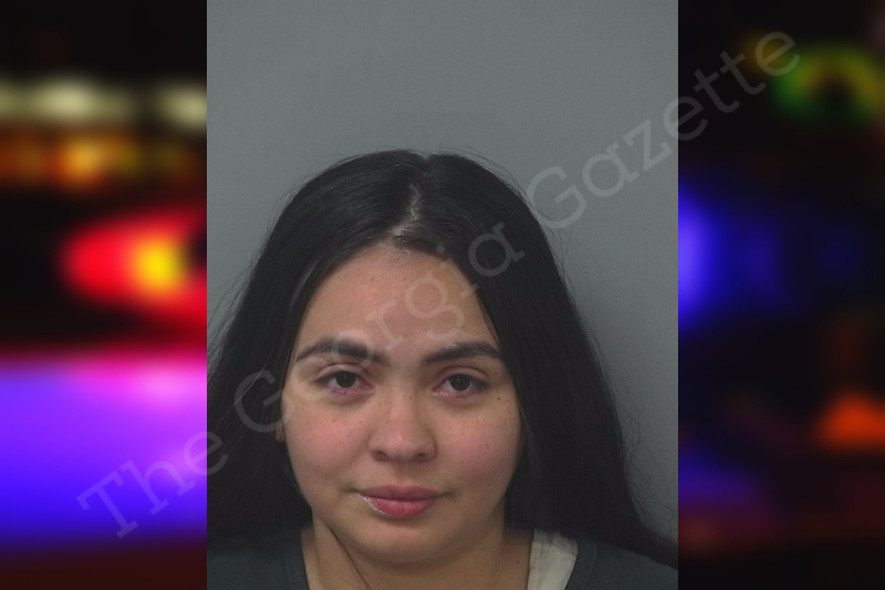 karen-chicas-rosales-gwinnett-county-jail-bookings