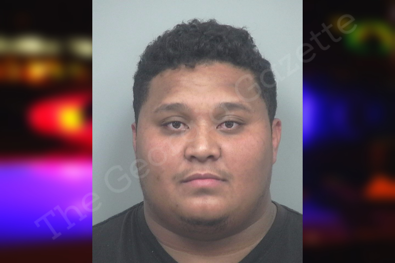 Hidden Truths Emerge In The Jose Caraballo Mendez Gwinnett County Case - rx1glnu