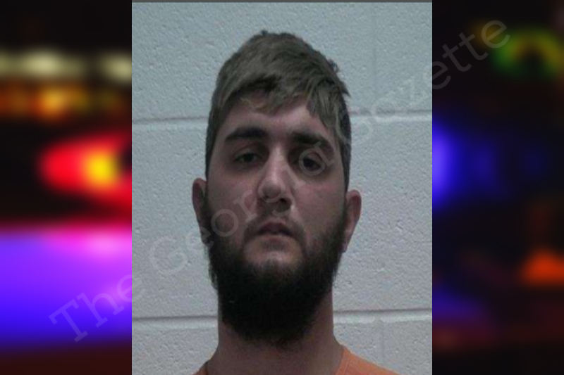 Joseph Palmer McDuffie County