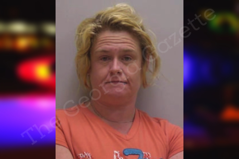 Shannon Ellis Bartow County Jail Bookings