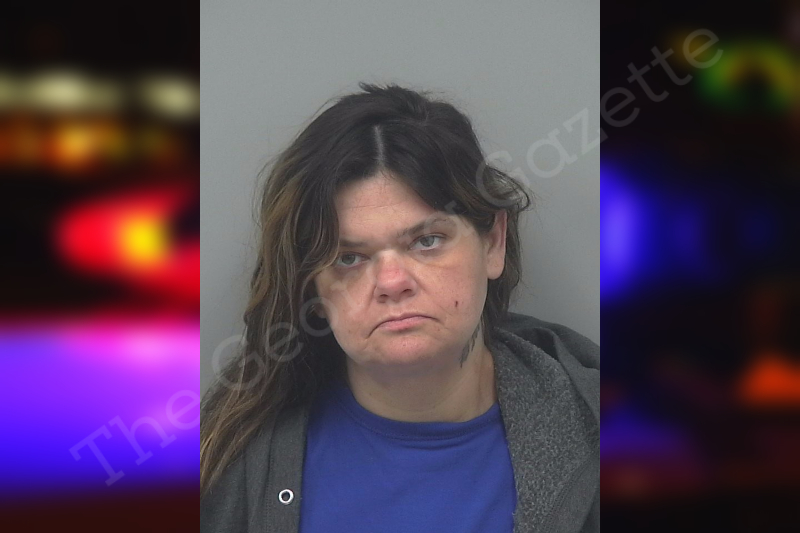 Brandy Mcgaughey — Gwinnett County Jail Bookings