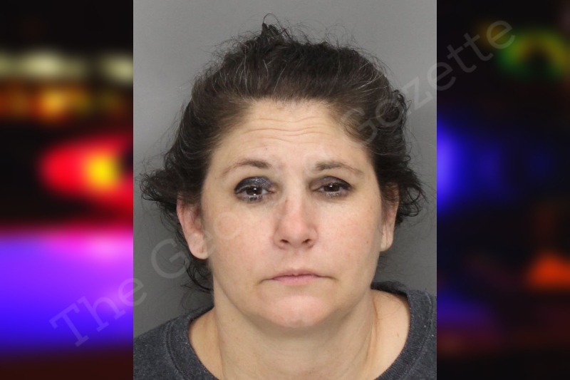 Brooke Roach — Cobb County Jail Bookings