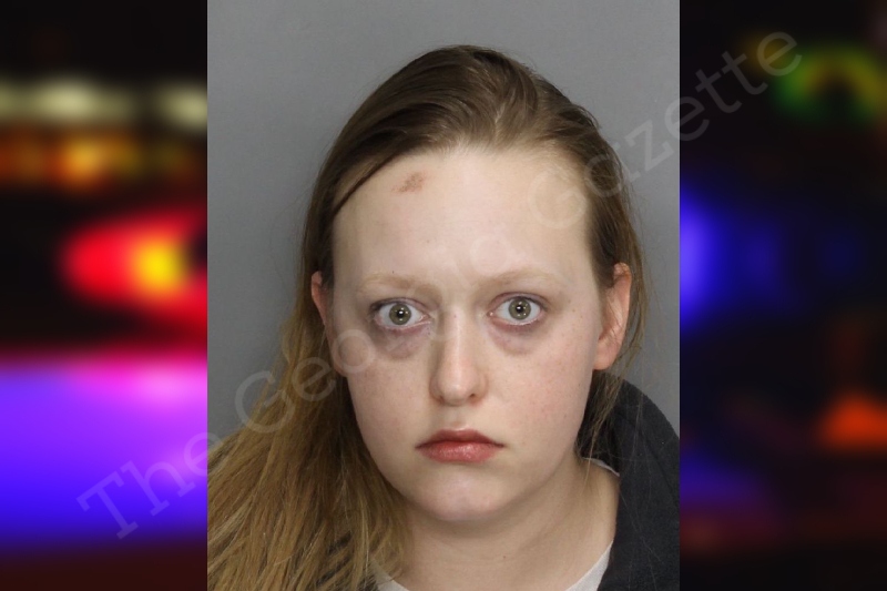 Emily Elkins | Cobb County Jail Bookings