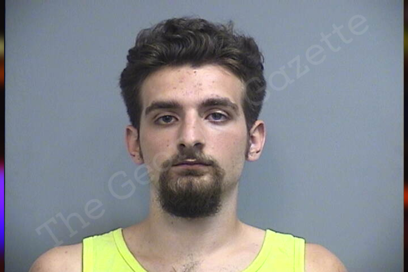 Zachary Haddock Effingham County Jail Bookings