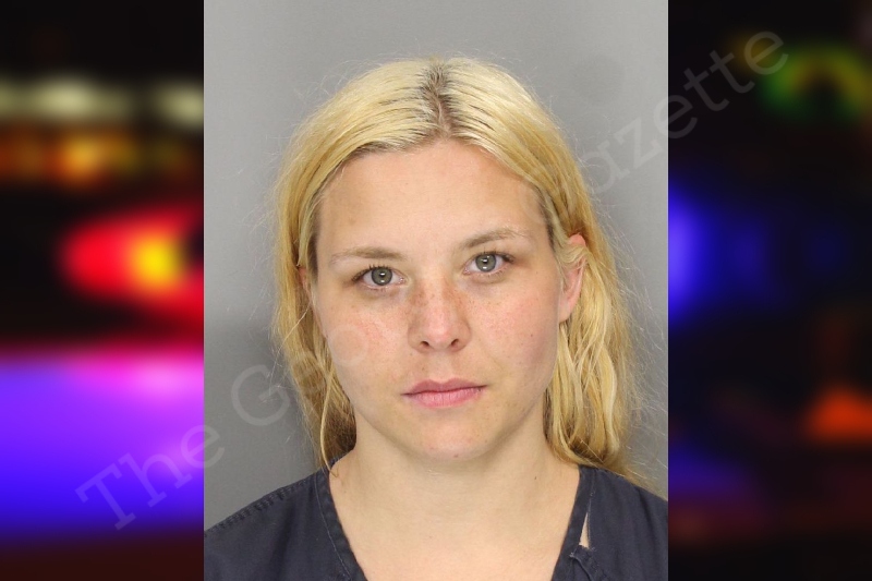 Kristina Klueber | Cobb County Jail Bookings