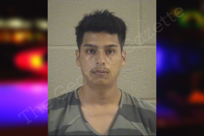 Nelson CastilloDe Leon Whitfield County