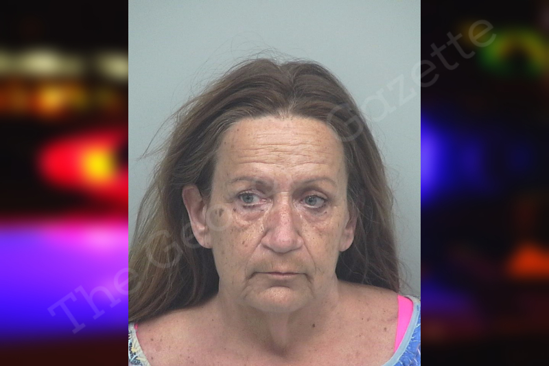 Cynthia Rudell — Gwinnett County Jail Bookings