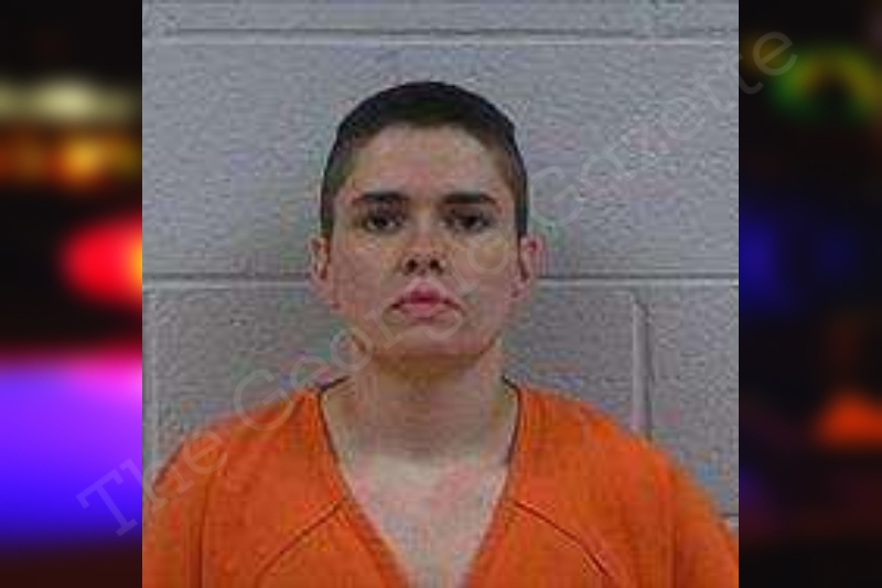 Bailey Bell Polk County