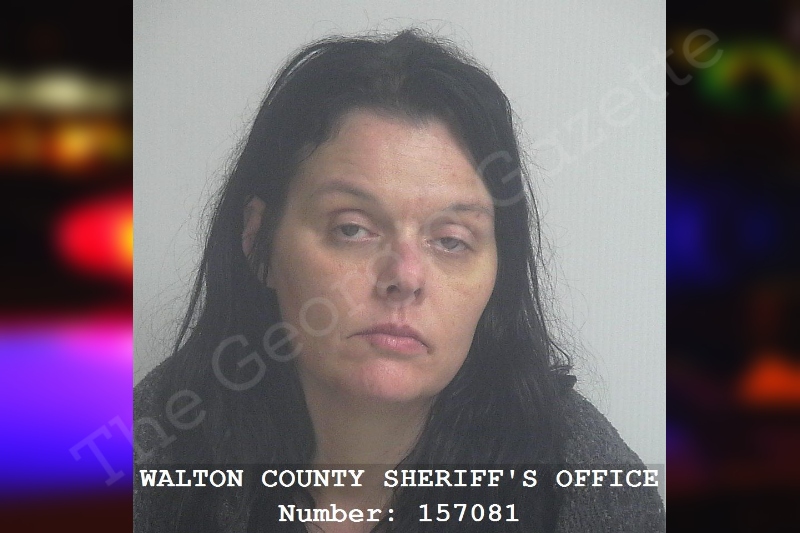 Heather Hendrix — Walton County Jail Bookings