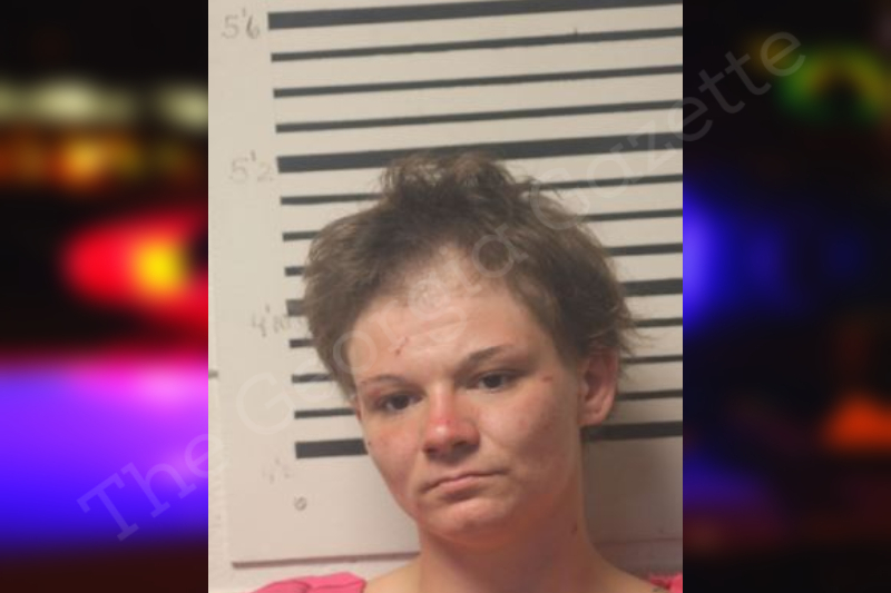 Chelsea Marble Toombs County Jail Bookings