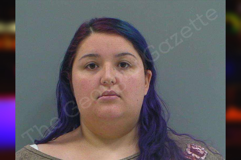 Carmen Palomo — Rabun County Jail Bookings