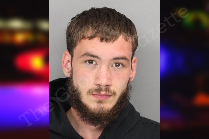 Tyler Ringl — Cobb County Jail Bookings